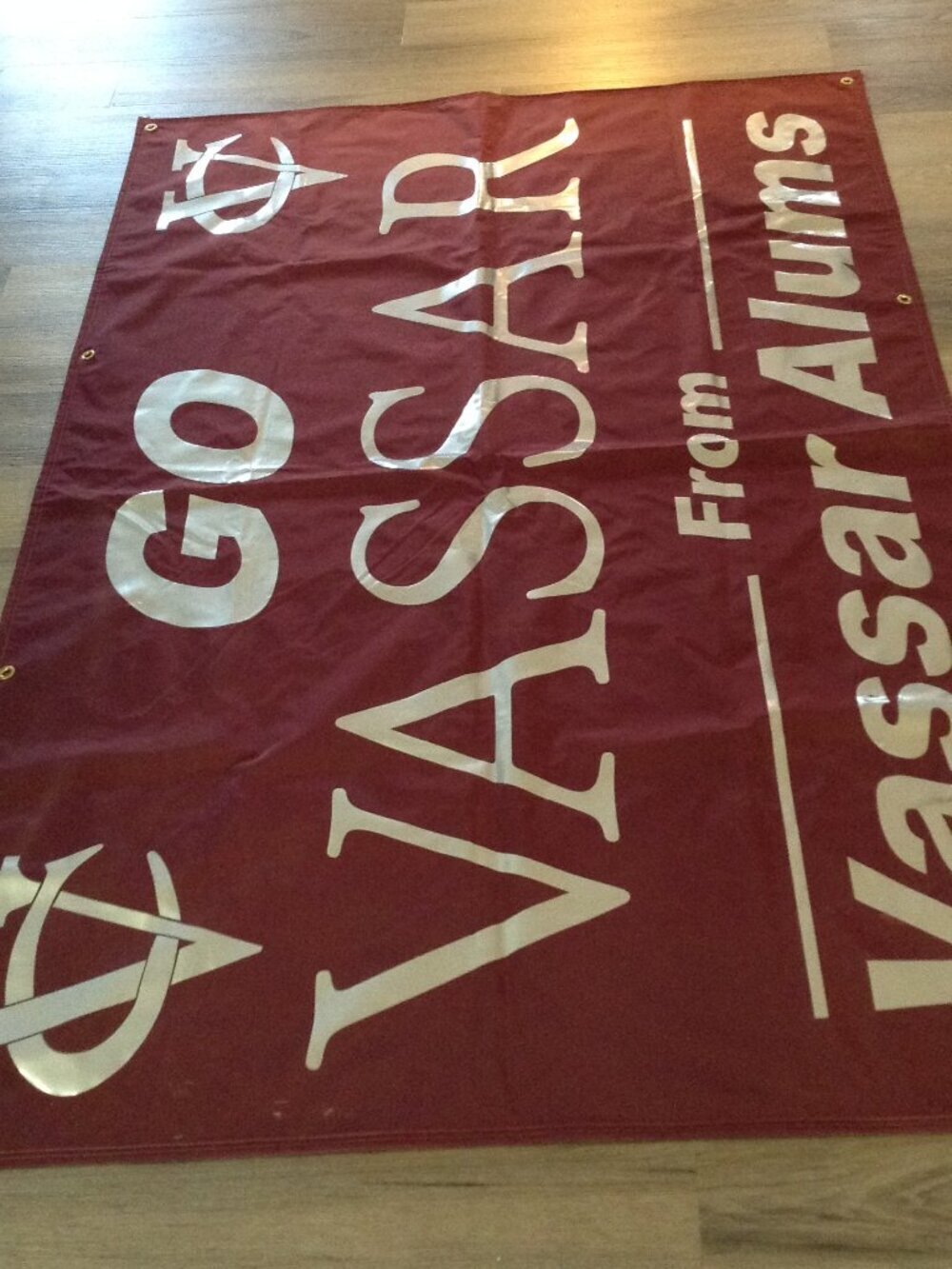 Vassar College Poughkeepsie NY Event/Reunion Banner Lisa Kudrow Co-Ed Historical